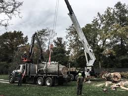 Carroll Tree Service, Inc.
