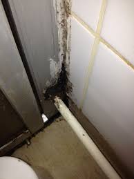 Image result for site:byggahus.se ta bort silikonfog