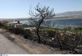 Fotia, is an uninhabited greek islet, in the libyan sea, close to the eastern coast of crete. Fwtia Sta Megara Te8hke Ypo Meriko Elegxo