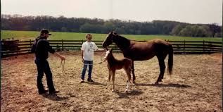 Obituary for John (J. P.) Perry Nelson