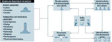 Tablet Manufacturing Process Flow Chart Pdf Www