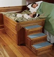 Cama De Casal Com Casinha De Cachorro Pin Em Fluffy Paws