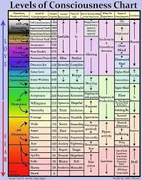 Image result for Level of Consciousness