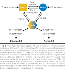 Image result for Selective Estrogen Receptor Modulator