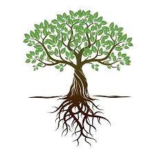Color Tree Roots And Background Vector Illustration Tree With Roots Drawing Tree Images Roots Drawing