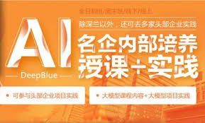 深蓝Ai人工智能名企内部培训+实践班，高清视频(249G) - VIPC6资源网