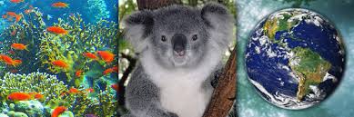 There are many other types of animals that are able to live in the tundra biome. Ecologists Study The Interactions Of Organisms And Their Environment Learn Science At Scitable