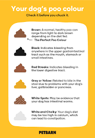 dog poo chart what the colour is telling you petbarn