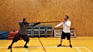 The base damage of the weapon's basic attacks; The Spear And Its Use Gray School Of Arms Western Martial Arts And Fitness