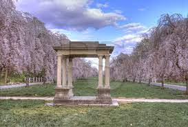 Gazebo And Cherry Blossoms Fairmount Park Gazebo Fairmount Park
