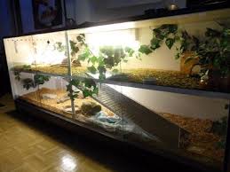 Tattoorolla Pet Life Terrarium Pets