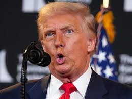 Ivanka Trump, Tinsley Mortimer, and Lauren Santo Domingo: A Tale of Three  NYC Socialites