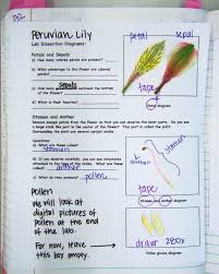 Pin On Wildflower Id Book For Kids