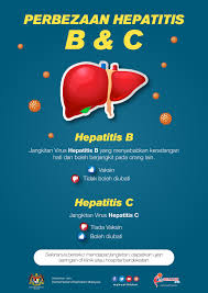 Text tobô' mam ma volô na ô limiti bekalate ya internet beza ba bo nkômbane yéhôva den? Perbezaan Hepatitis B C Info Sihat Bahagian Pendidikan Kesihatan Kementerian Kesihatan Malaysia