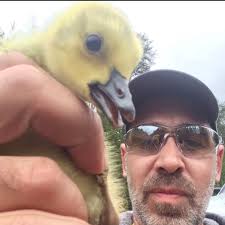 Been dealing with a couple issues with my 94, non turbo 5 speed manual. Put  key in turn to auxiliary then go to start and all power is cut, wait 30  seconds