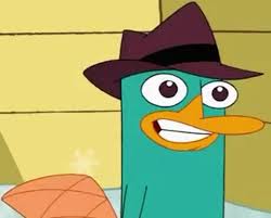 Perry Perry The Platypus Phineas And Ferb Perry Platypus