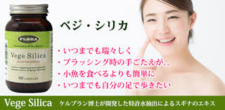 送料無料 ベジ・シリカ ×2本セット FLORA フローラハウス スギナ抽出 植物性ミネラル サプリメント ベジシリカ florahealth