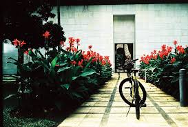 The first phase of the park is now open to the public. Taman Botani Putrajaya Malaysia Lomography