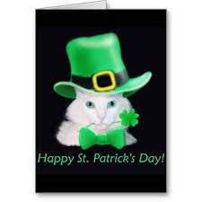 St Patricks Day Cat Card Zazzle Com Cat Cards Cards Custom Greeting Cards