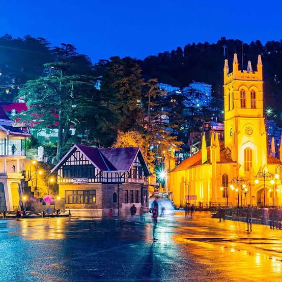 Shimla pine forests and hills
