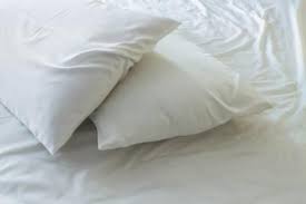 Or try sprinkling in some odorzout, let it sit a few minutes, then dump out and rinse the can. How To Get Rid Of Bad Odor On Feather Pillows Feather Pillows Wash Feather Pillows Pillows