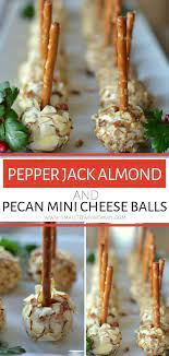Pin On Appetizer Recipes