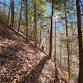 Advanced backpacking along the Sheltowee Trace event in Corbin, KY