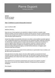 Afnor est représentée sur l'ensemble du territoire français et à l'étranger. Formats De Lettres De Motivation Word A Telecharger Lettres Gratuites