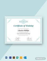 Free Hotel Training Certificate Template Word Doc Psd Apple Mac Pages Google Docs Illustrator Publisher Outlook Certificate Templates Training Certificate Free Hotel