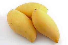 Mangga chokanan, mangga asal thailand yang paling cepat berbuah. Mangga Chokanan Mangga Ini Kebun Kecil Tepi Rumah Facebook