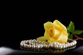 Pearls And Rose Black Backgrounds Yellow Roses Pearls