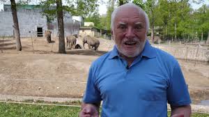Hide The Pain Harold As A Local Tour Guide Youtube