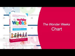 the wonder weeks chart explained youtube