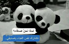 بعد لتكلي غبيه Cover Photo Quotes Funny Arabic Quotes Birthday Quotes For Me
