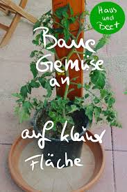 Baue Dein Eigenes Gemuse An Und Spare Geld Haus Und Beet Gemuseanbau In Kubeln Gemuse Anbauen Gemusegarten Anlegen
