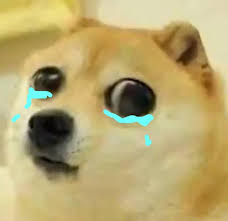 Search more hd transparent doge meme image on kindpng. Big Eyes Crying Doge Blank Template Imgflip