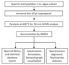 Flowchart For Hydrocarbon Phenotyping Of Algal Species By
