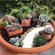 20 Mini Succulent Garden Ideas Around The World Succulent Garden Diy Succulent Garden Design Small Succulents
