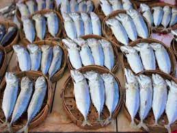 Pembahasan kali ini berisi tentang informasi gambar ikan mulai dari sketsa ataupun kartun. Gambar Ikan Asin Kartun Radea