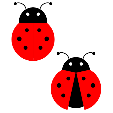 Black And White Ladybug Clipart Clipart Ladybug Ladybird Drawing Free Clip Art Bugs Drawing