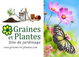 Calendrier Lunaire Pour Jardiner Avec La Lune Planter Des Graines Calendrier Des Semis Jardinage