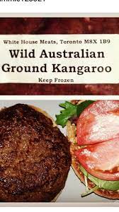 Homemade Skippy Aka Kangaroo Burger Food Burger Recipes Burger