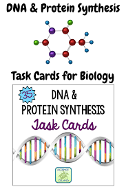 Explain that certain dna sequences code for specific characteristics. Dna And Protein Synthesis Task Cards Print And Digital Task Cards High School Biology High School Science