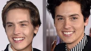 Here's What Dylan And Cole Sprouse Studied In School