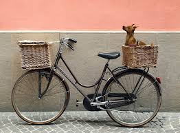 Bester hundekorb fürs fahrrad, mit empfehlungen und praxistest. Sale 2020 Hunde Fahrradtasche Fahrradkorb Weide Hundekorb Fur Fahrrad Online Bei Hundeshop Hundekrone De Hundekrone