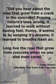 2pac poems tupac quotes poetry quotes bible quotes bible verses tupac art spoken word poetry. Rose Breaking Through Concrete To The Children Of War And Conflict Syria Gaza Haiti Congo Tupac Quotes Inspirational Quotes Tupac Shakur Quotes