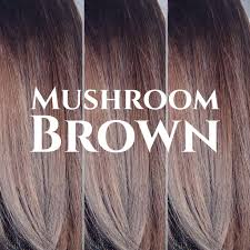 We're focused on the best examples of balayage highlights for brown hair, whether light caramel or deep mahogany. 10 Cool Stunning Mushroom Brown Hair Colouring Ideas You Will Love Top Leading Hair Salon In Singapore And Orchard Chez Vous