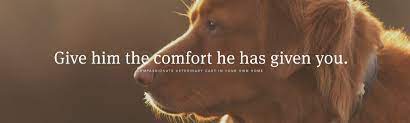 Since we began helping families more than eleven years ago, we have earned a reputation for. Vet At Your Door In Home Hospice Euthanasia Pet Care
