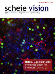 Call us to make an appointment with our tyler eye doctors to talk about your eyeglasses, contact lenses or specialty lens needs. Annual Report 2020 Scheie Eye Institute By Rebecca Salowe Issuu