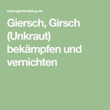 Giersch Girsch Unkraut Bekampfen Und Vernichten Gartendialog De Unkraut Giersch Giersch Bekampfen